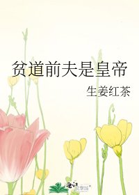 贫道前夫是皇帝